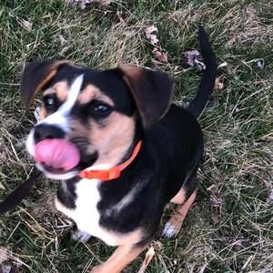 Meet your Posher, Stacy